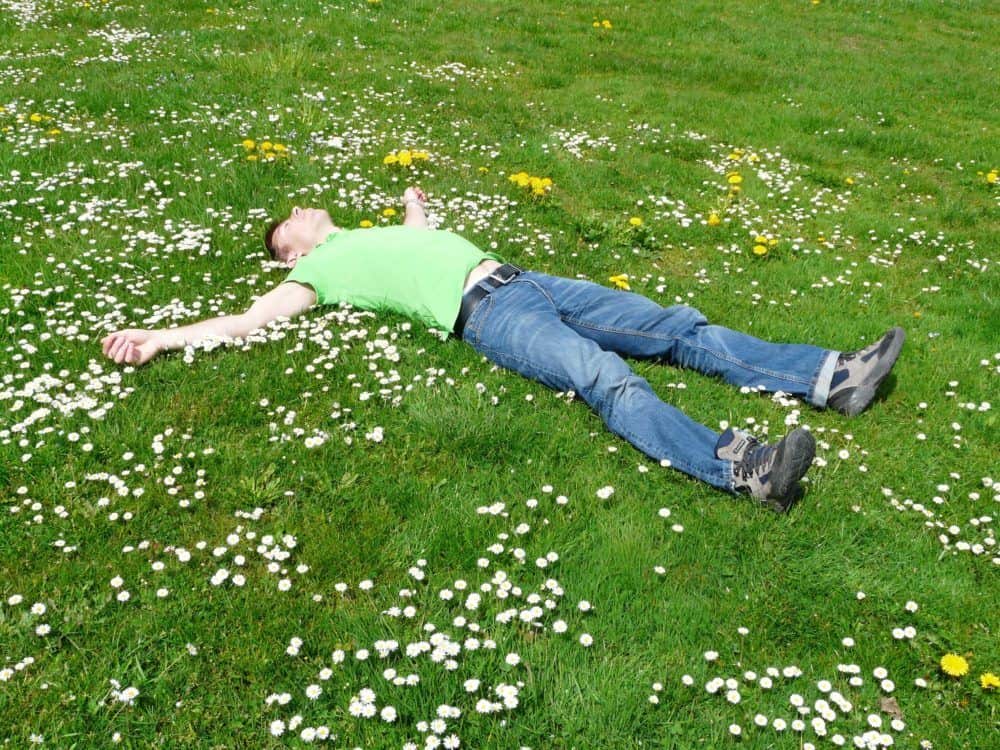 snoring while traveling laying in grass
