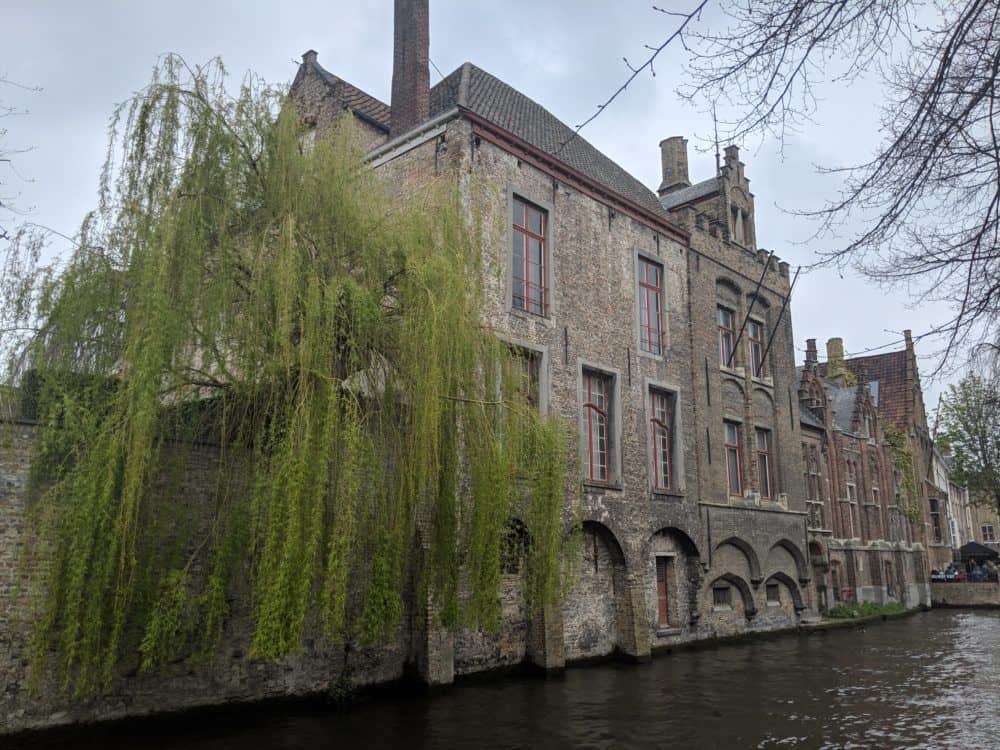 one day in bruge canal with flowing tree